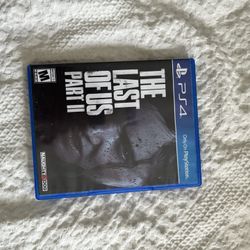 Last Of Us Part II Video Game