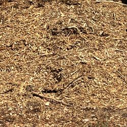 Free Mulch