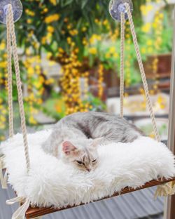 Furrfinity Cat Window Perch White Cushion – New, Preassembled