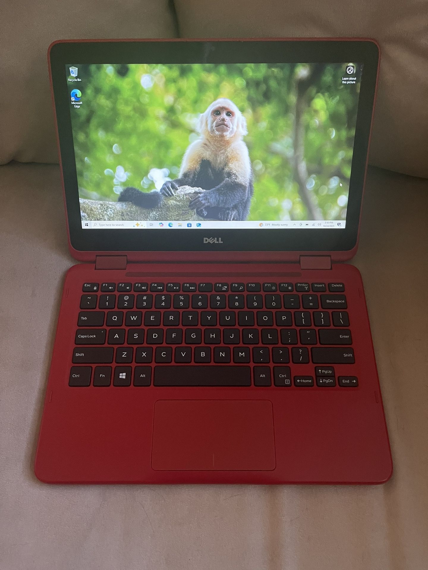 Dell 2-in-1 Laptop