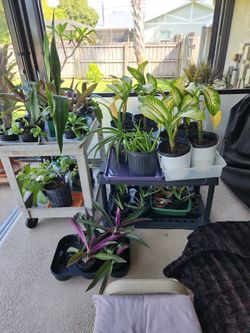 Yard Sale / Sat. 10/5