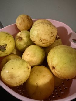 Guayabas / Guavas