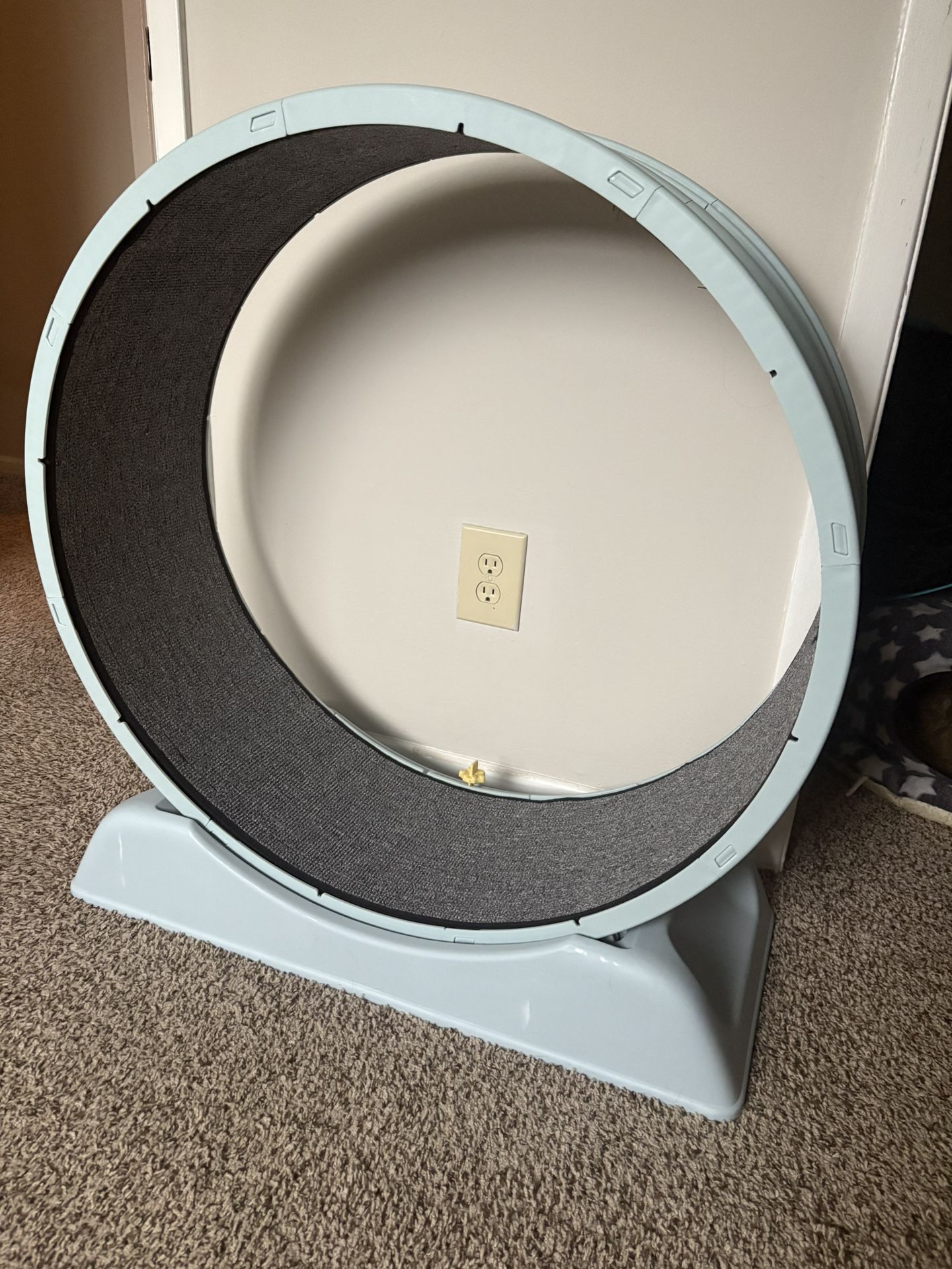 Cat Exercise Wheel