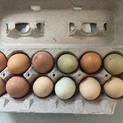 Dozen Organic Farm Fresh Eggs