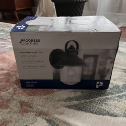 New Outdoor Wall Lamp ( Hardwired/ Only One ) 