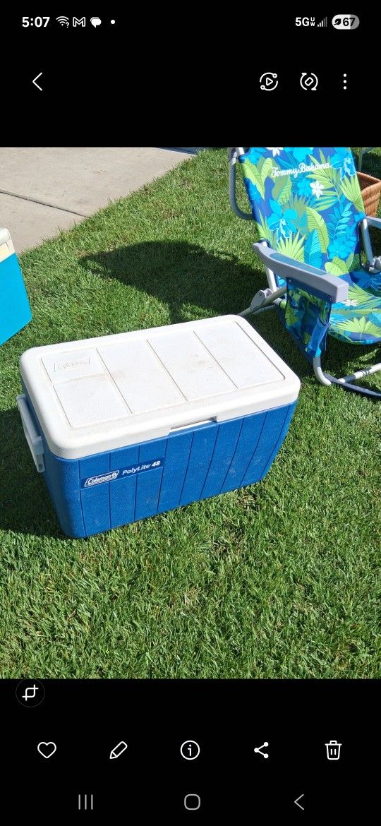 Cooler Coleman