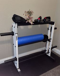 FitnessGear Dumbbell & Plate Rack