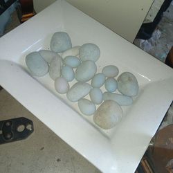 Centerpiece white tray