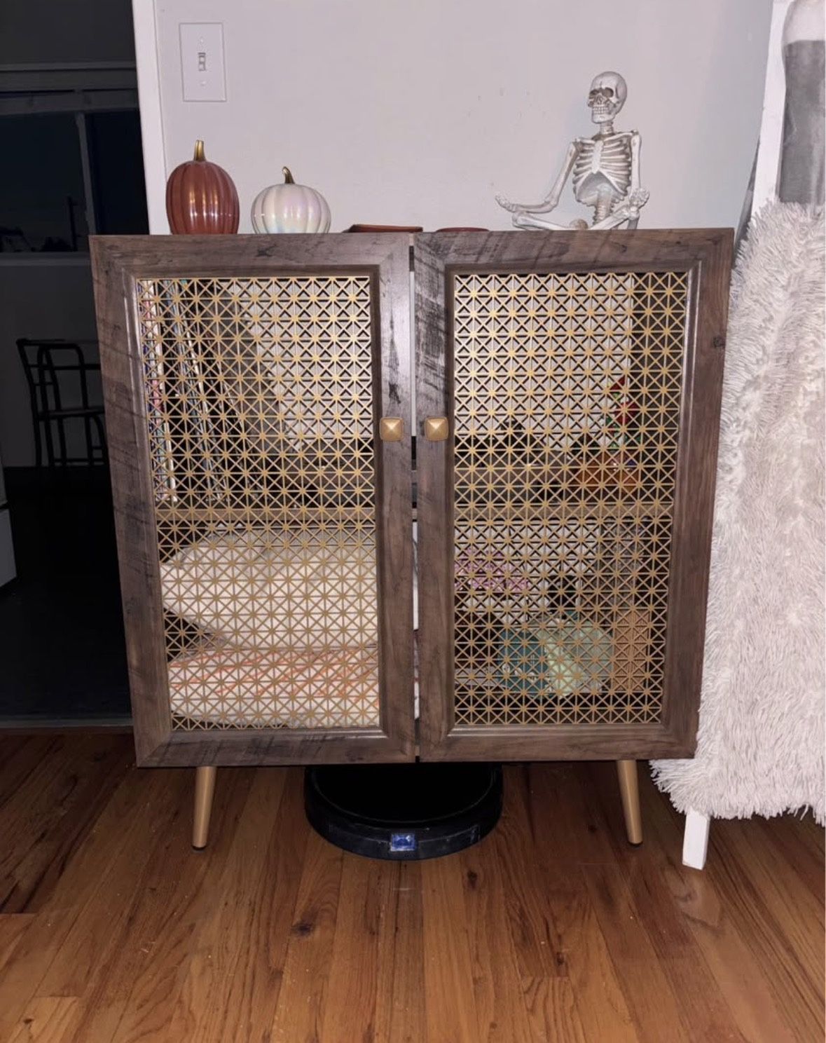 Mid-Century Cane Door Cabinet – Great for Records, Books, or Storage