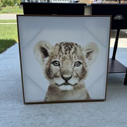Adorable Lion Cub Canvas Print
