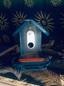 Smart Bird Feeder with Built-In Camera