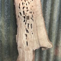 Craft Sized Live Edge Boards/ Slabs