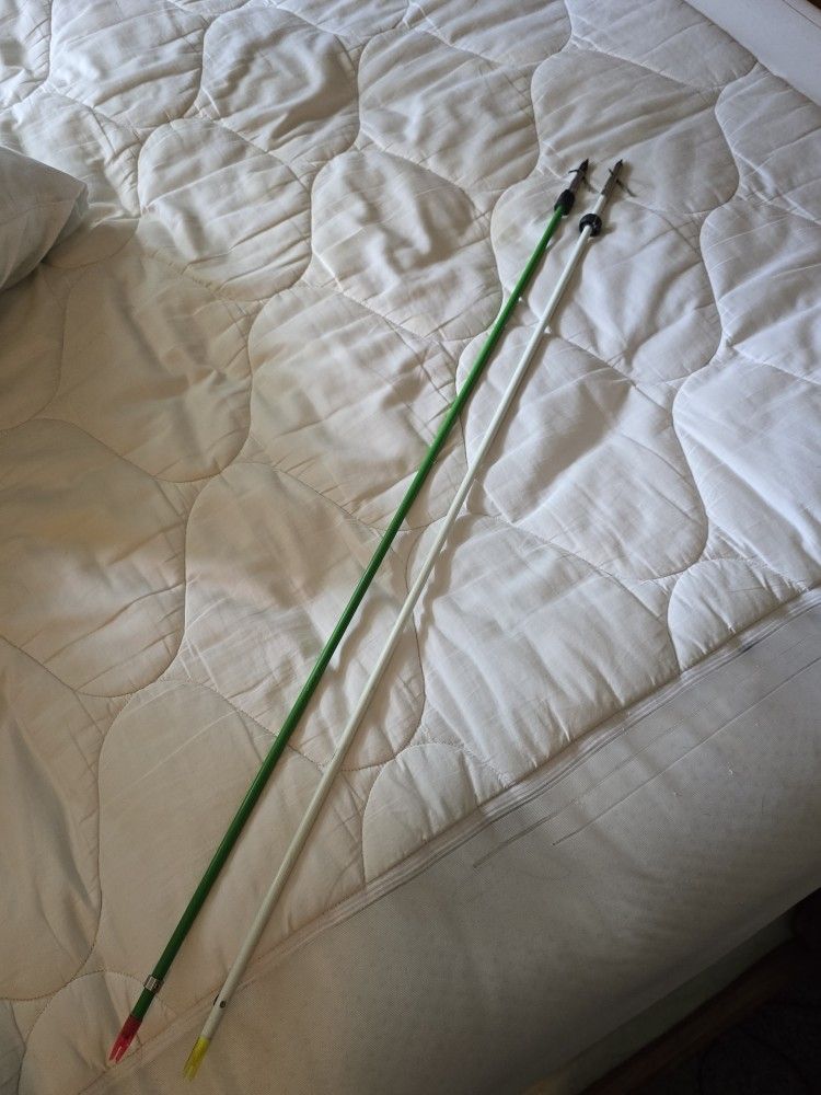 Two Bowfishing Arrows