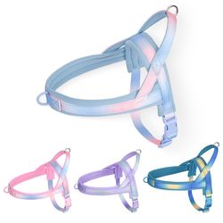 Gradient Color Pet Harness: Adjustable, Soft - Padded, Stylish Walk Gear