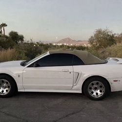 2003 ford mustang