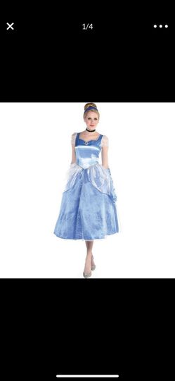 Cinderella Halloween Costume (M) Brand New $50