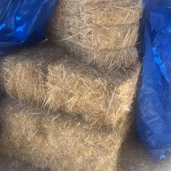 6 Hay Bails