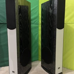 Elite Audio Tower Speakers