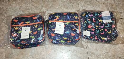 Kinsho dinosaur 🦕 lunchbag with icepack inside new $5 each