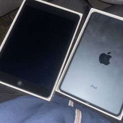 Two I Pad Mini 