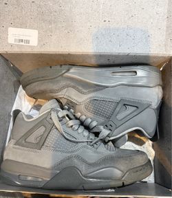 Jordan Wet Cement 4s