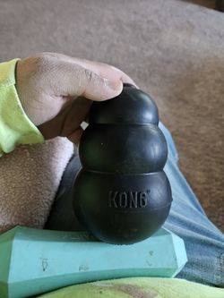 Kong And Playology Dog Toy