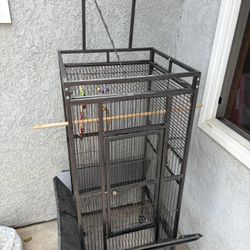Parrot/Bird Cage
