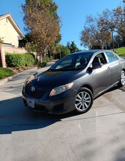 2010 toyota corolla