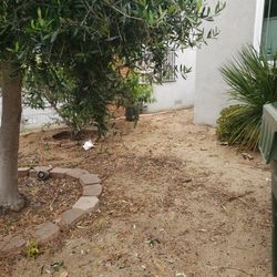 Drip Irrigation For Plants 