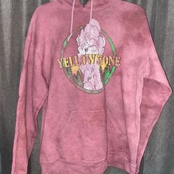 Brand New Urban Outfitters Hoodie