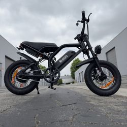 Electric Bike