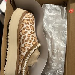 Cheetah Uggs