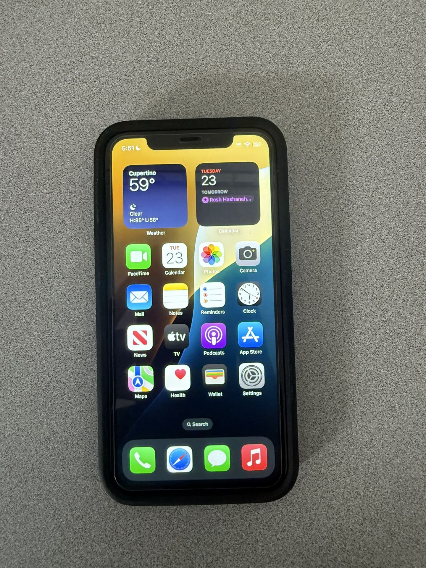 iPhone 11 64 GB Black With Case And Screen Protector