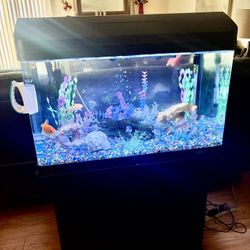 nice fish tank with stand and hood