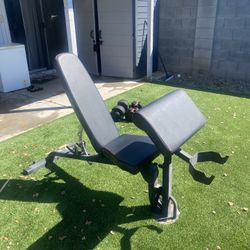 Adjustable Workout Bench With Preacher Curl Attachment