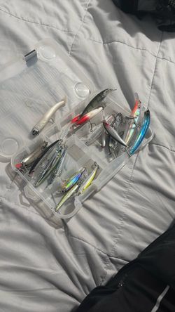 Fishing Lures