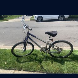 Giant Mountain Bike 