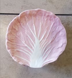 New Radicchio Salad Plates Bundle (7)