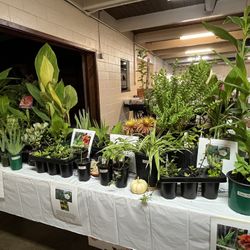 Plant Sale 