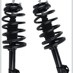 Honda Element Struts