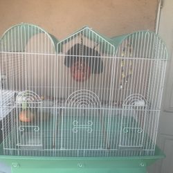 Bird Cage 