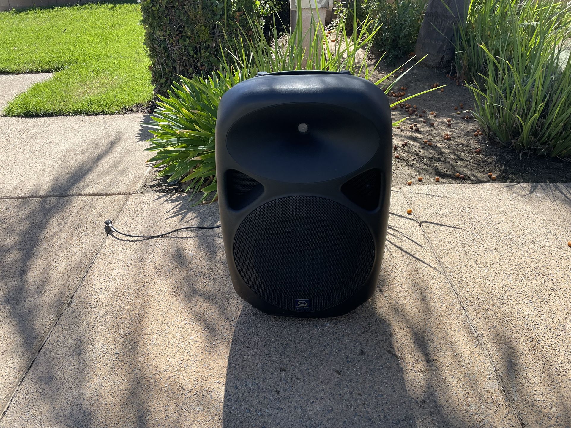 Gen Sound Professional Speaker