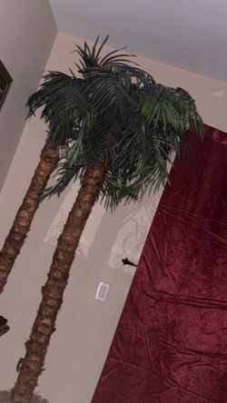 Palm trees, artificial