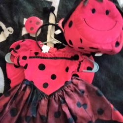 Ladybug Holloween Costume for 18 Months