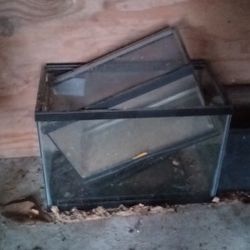 $100 For All!!!3 Tanks And 5 Lights And Everything You Need For Reptiles 