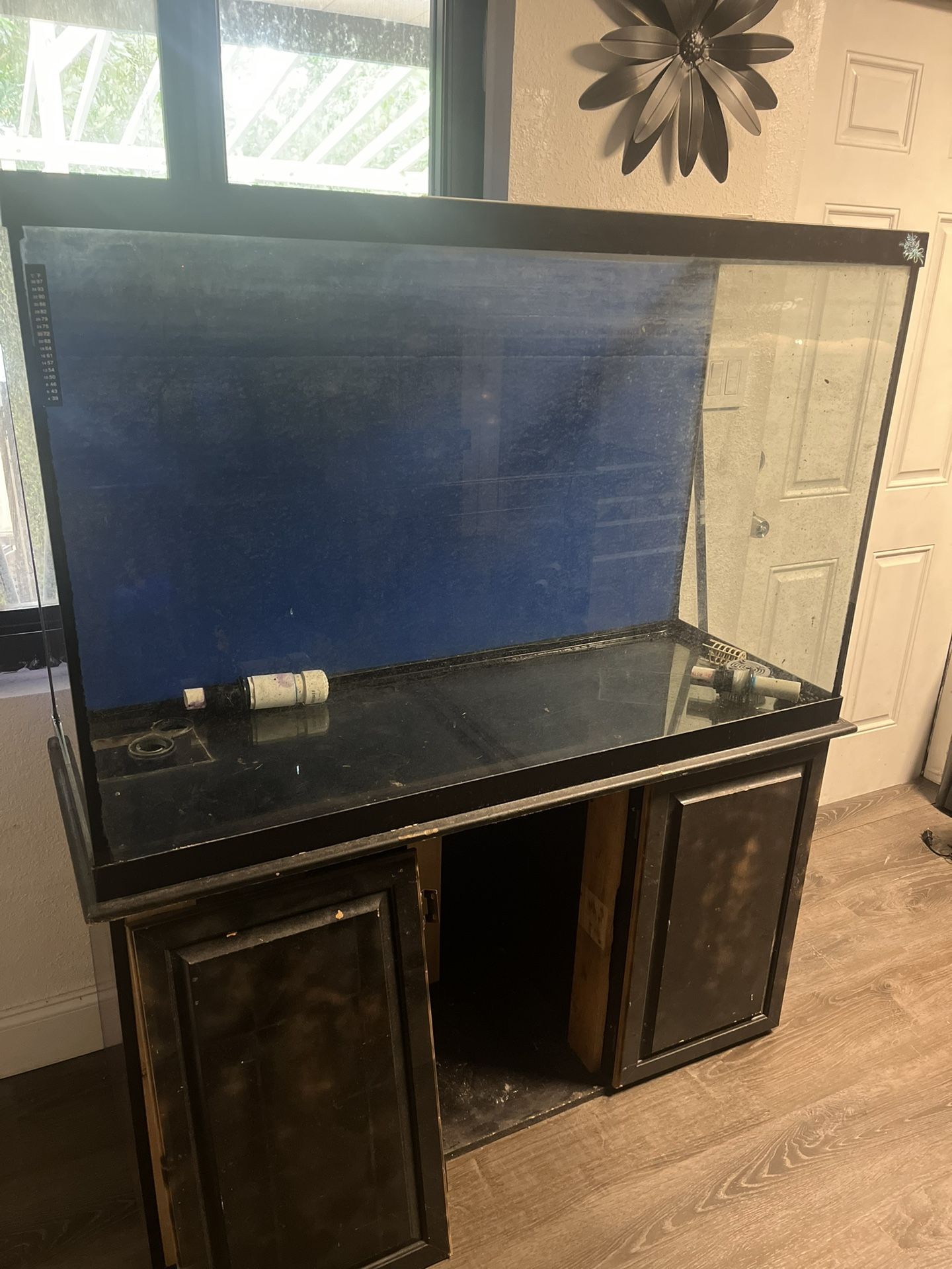 Huge Fish Tank With Stand