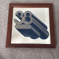 RARE Vintage Wood Framed 38 Special Rock Band Carnival Mirror