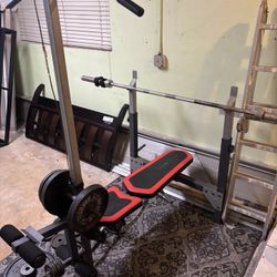 Adjustable Weight Bench w/ Pull Down & Leg Extension