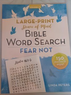 Bible Word Search Book