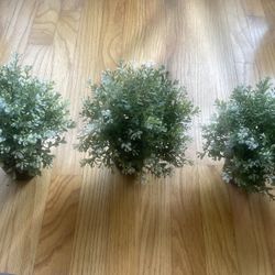 Artificial Plant 🪴 